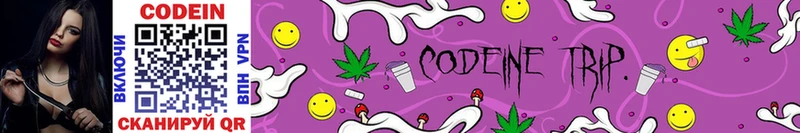Codein Purple Drank  где купить наркоту  Нестеровская 
