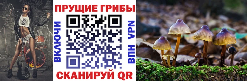 MEGA вход  магазин    Нестеровская  Галлюциногенные грибы Psilocybine cubensis 